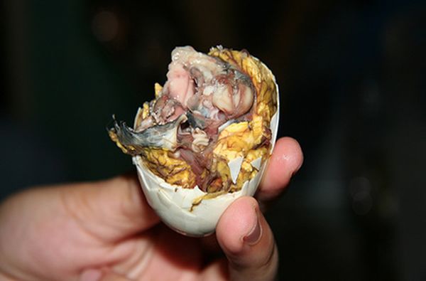 Balut