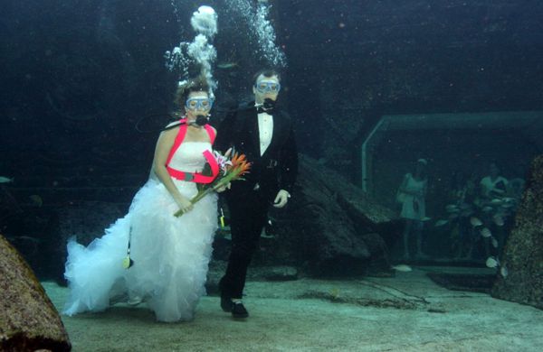 The Underwater Wedding