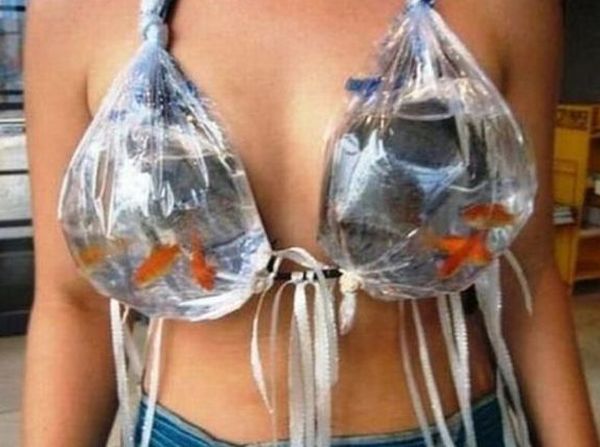 The fish home bra