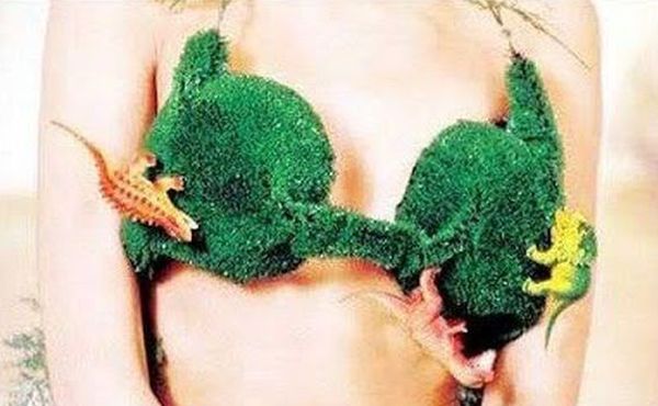 The moss bra