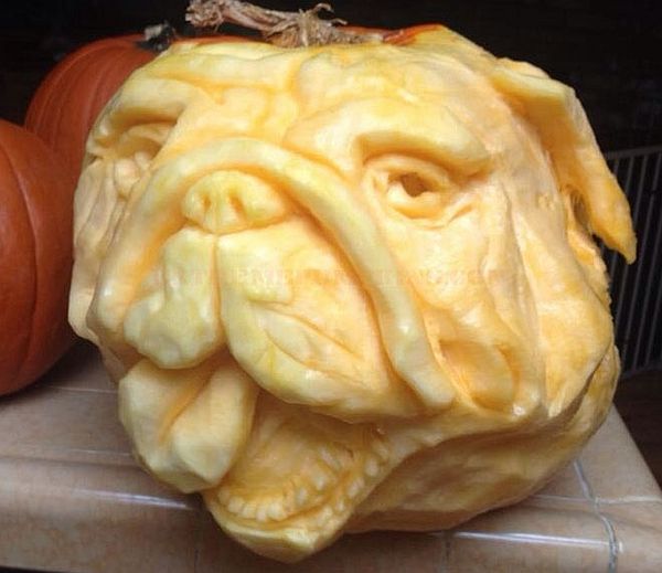 Bulldog Pumpkin