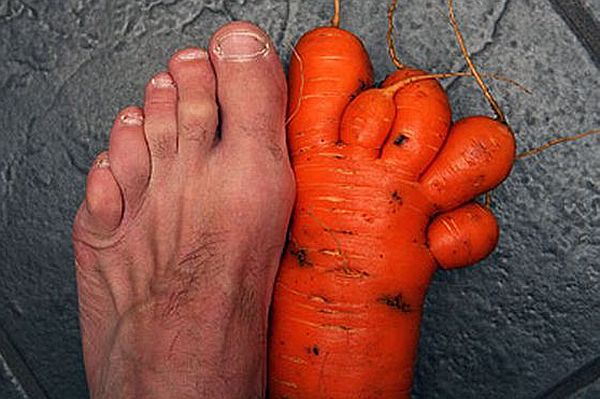 Carrot foot
