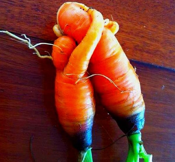 Veggies that take unusual shapes, ranging from creepy to adorable ...