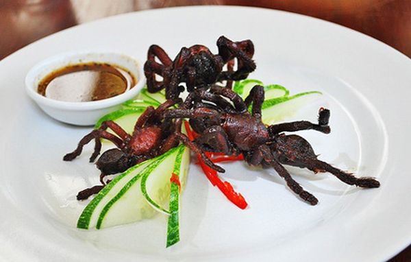 Deep Fried Tarantulas