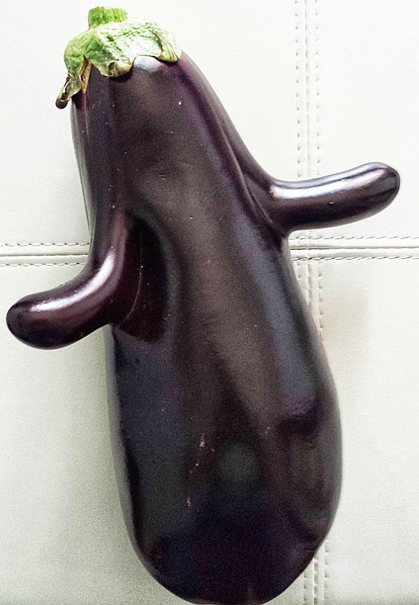 Joyful eggplant