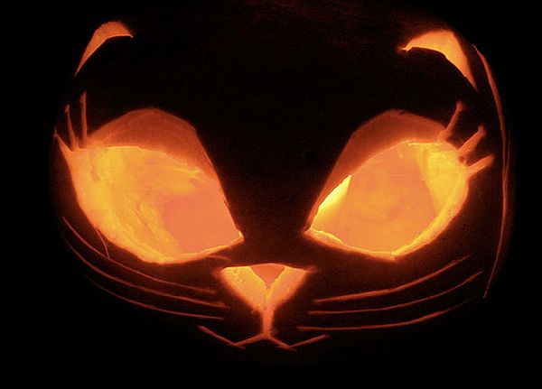 Extreme pumpkin carvings that will amaze and astonish you - Instamedia.com