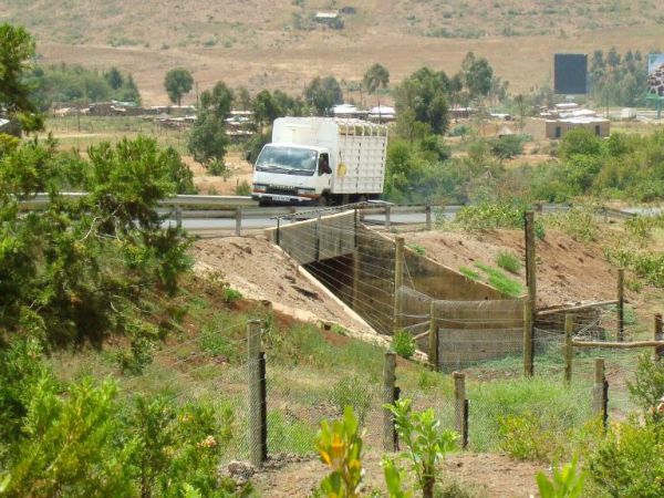 Elephant underpass in Kenya