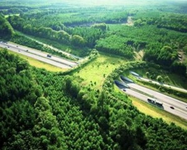 Natuurbrug Zanderij Crailoo