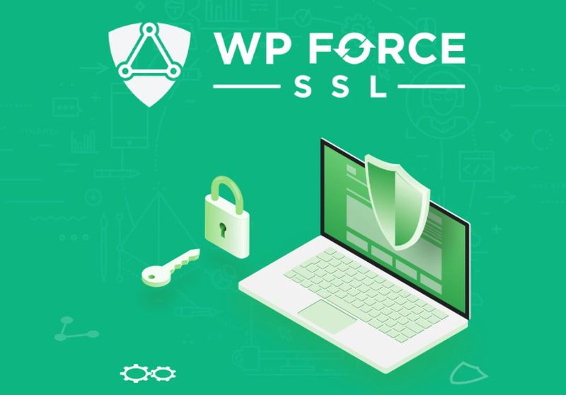 WP Force SSL features