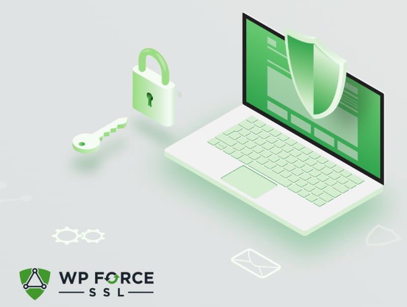 WP Force SLL – Features & Plans